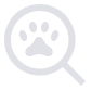 Search icon with paw print